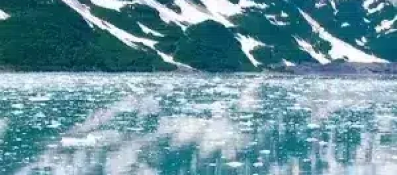 Brevetto del Mese Italia- Maggio 2025